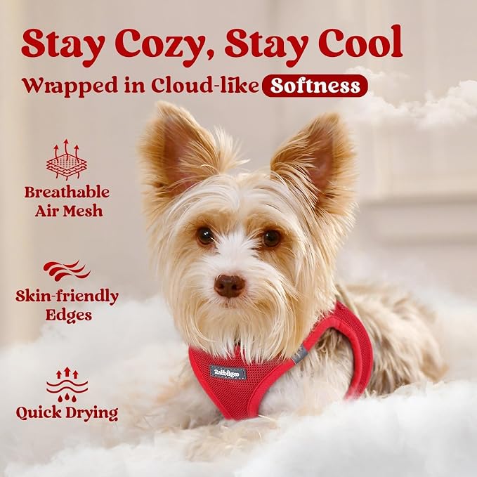 rabbitgoo Step-in Small Dog Harness, Puppy Vest for Small Sized Pet | Easy Put on and off, Lightweight, Soft, Breathable Quick-Dry Air Mesh for Comfortable Secure Walking, Red XXS