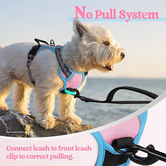 rabbitgoo Dog Harness, No Pull for Small Dogs with 2 Leash Clips, Pet Vest | No Choke with Handle, Adjustable Soft Padded, Reflective, Easy Control for Walking, Pink & Blue, X-Small