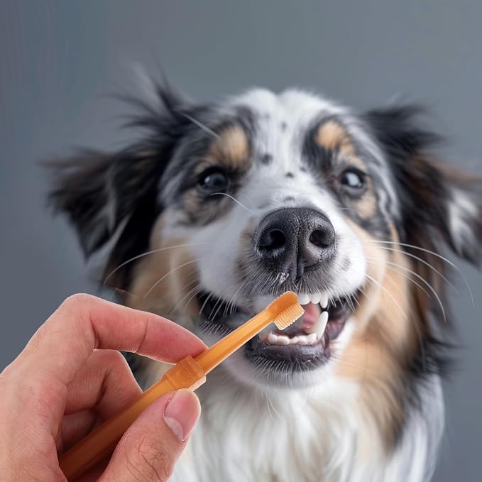 VOSAREA 1 Set of Silicone Pet Toothbrush Kit for Dogs and Cats Puppy Tooth Brushing Tool Double Head Oral Cleaning Brush for Small Dogs and Cats