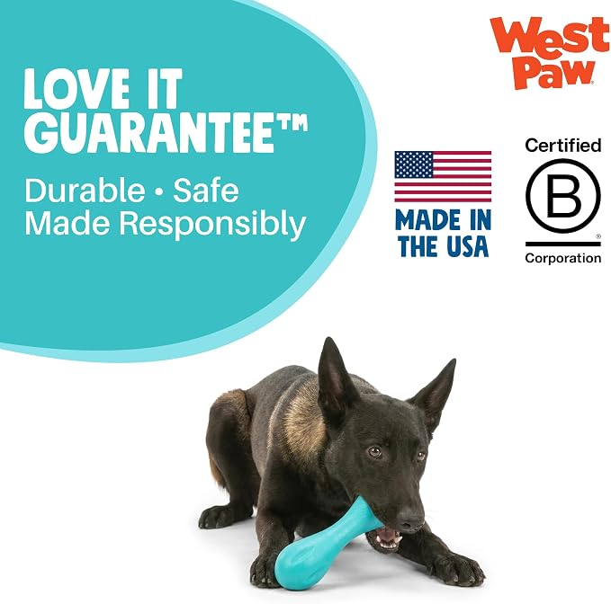 WEST PAW Zogoflex Hurley Dog Bone Chew Toy – Floatable Pet Toys for Aggressive Chewers, Catch, Fetch – Bright-Colored Bones for Dogs – Recyclable, Dishwasher-Safe, Non-Toxic, Small, Teal (Pack of 2)