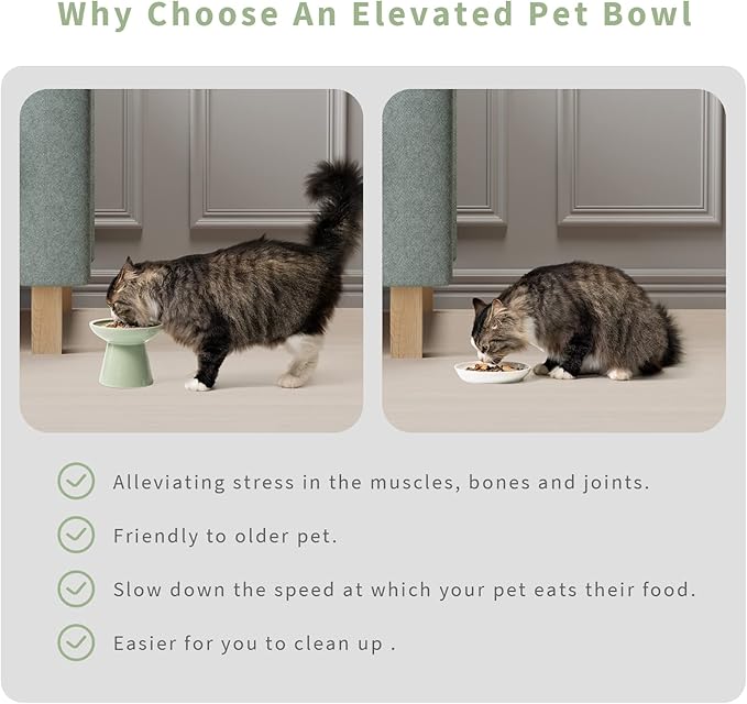 CEEFU 2 Elevated Ceramic Cat Bowls Upgraded with Food Mat, Extra Wide for Food & Water – Whisker Fatigue Shallow Food Dish, Lead & Cadmium-Free, Raised Height for Cats, Sage Green