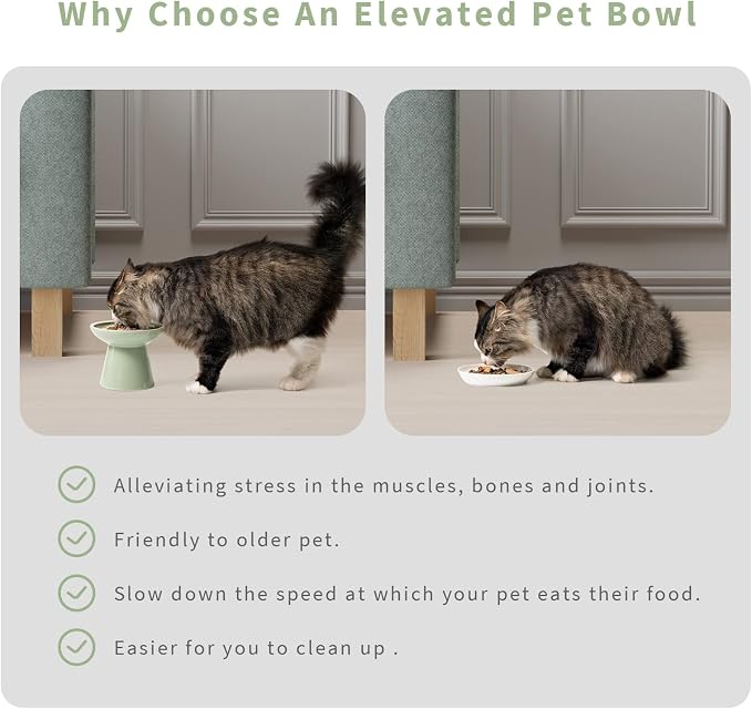 CEEFU 2 Elevated Ceramic Cat Bowls Extra Wide for Food & Water – Whisker Fatigue Shallow Food Dish, Lead & Cadmium-Free, Raised Height for Cats, Sage Green