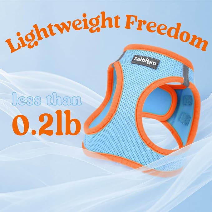 rabbitgoo Dog Harness Small Sized and Leash Set, Step in Soft Vest | Breathable Mesh, Easy Wear with Hook & Loop, Light and Reflective for Walking, Multi-colored, Blue & Orange, XS