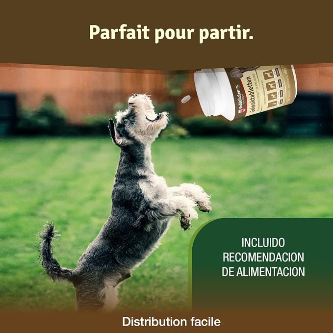 Veddelholzer Dog Joint Supplement Tablets – Hip & Joint Support with Glucosamine, Chondroitin, MSM & Turmeric – Mobility, Flexibility & Comfort Aid for Large & Small Breeds – Vet Recommended