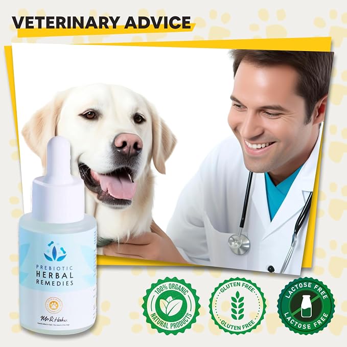 Dog Ear Infection Treatment, Natural Ear Cleaner, Plant-Based