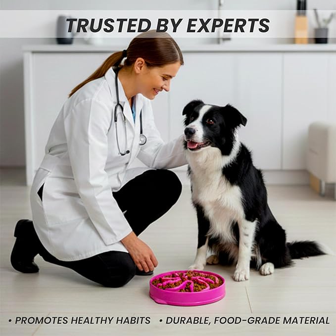 Slow Feeder Dog Bowl for Small, Medium & Large Dogs – Anti-Gulping Puzzle Maze Bowl, Non-Slip Slow Eating Dog Dish, Prevents Bloat & Improves Digestion, Interactive Pet Feeder (Pink, Small)