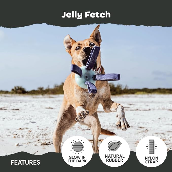 BarkBox Jelly Fetch Dog Toy - for Medium Dogs | Perfect for Tug and Fetch Play, Durable Design with Strong Nylon Straps for Long-Lasting Fun