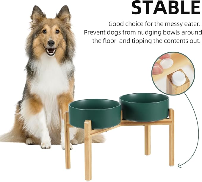 Havniva 8.3” Dog Bowls Elevated Ceramic Dog Food and Water Bowl Set, Double Raised Dog Water Bowl with Stand Non-Slip Rubber Base Large Capacity Feeding Pet Food Bowl for Large Dogs