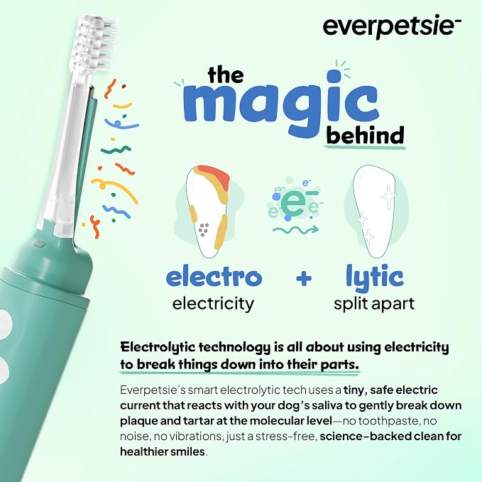 Electric Dog Toothbrush with Innovative Electrolytic Technology - Silent and Gentle Electric Toothbrush for Dogs, Effortless Dog Plaque and Tartar Remover Without a Toothpaste (Small)