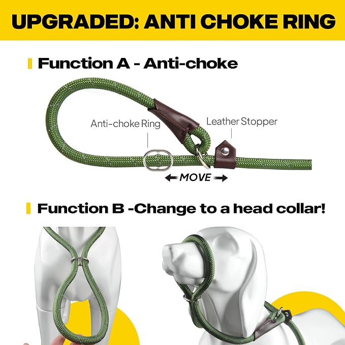 Fida Durable Slip Lead Dog Leash, 6 FT x 3/8" Heavy Duty Comfortable Strong Rope Slip Lead for Small Dogs and Puppies, No Pull Pet Training Leash with Highly Reflective(3/8", Green)