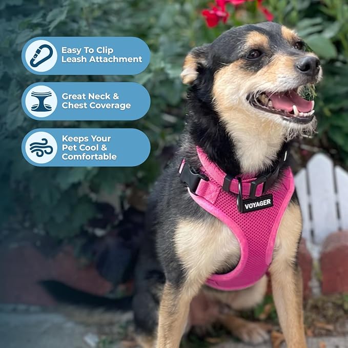 Voyager Step-in Lock Dog Harness - Fuchsia, Large | 20 - 25" in Chest, Adjustable, Breathable Air Mesh, Lightweight for Daily Walks, Strong Clips, Heavy Duty D-Ring