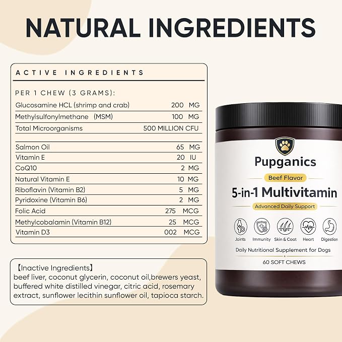 Pupganics Multivitamin Daily Soft Chews for Dogs, Pupganics 5 in 1 Multivitamin, Vitamin & Probiotics for Skin & Hair, Heart Health, Immune Support, Beef Flavor, 60 Soft Chews (1 PCS)