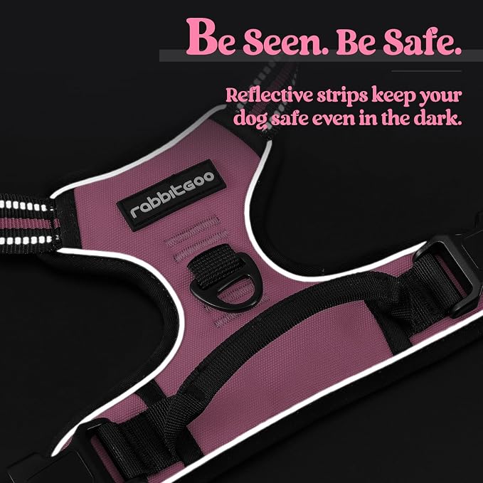 rabbitgoo Dog Harness, No Pull for Small Dogs with 2 Leash Clips, Pet Vest | No Choke with Handle, Adjustable Soft Padded, Reflective, Easy Control for Walking, Pink, Small