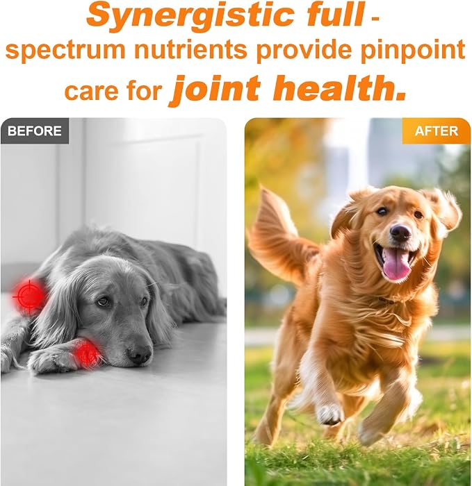 360 Chews Glucosamine Chondroitin Joint Chews for Dogs, Chicken Flavor 13 in 1 with Glucosamine, Chondroitin, MSM, Omega-3 Support Hip & Joint Support - Joint Pain Relief Flavored Fit All Breed
