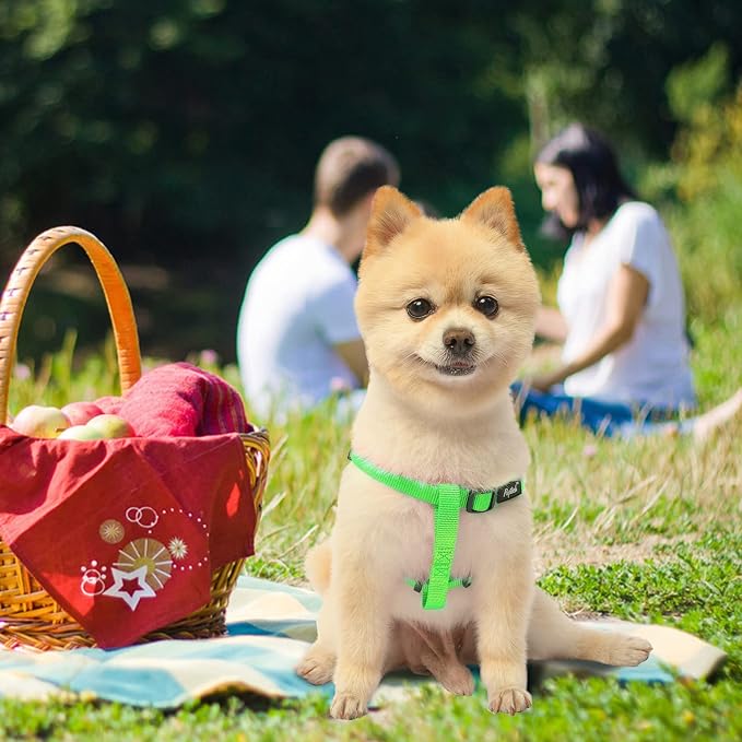 PUPTECK No Pull Dog Harness Small Sized Step-in Adjustable Puppy Vest | Soft Webbing Basic Halter with ID Tag for Outdoor Walking