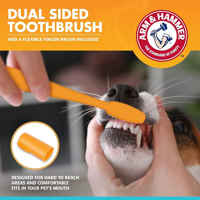 Arm & Hammer for Pets Enzymatic Dog Dental Care Kit, Chicken Flavor Toothpaste with Baking Soda for Plaque, Tartar, and Bad Breath, Double-Sided Toothbrush and Finger Brush Included, 2.5 Oz - 48 Pack