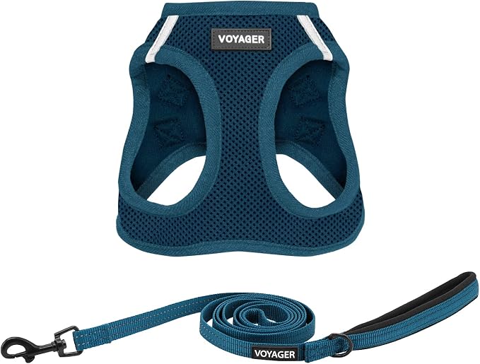 Best Pet Supplies Voyager Step-in Air All Weather Mesh Harness and Reflective Dog 5ft Leash Combo with Neoprene Handle, for Small, Medium and Large Breed Puppies - Blue, Large