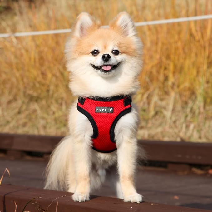 Puppia PARA-HC1533-RD-S Red Soft Harness C Pet-Vest-Harnesses, Small