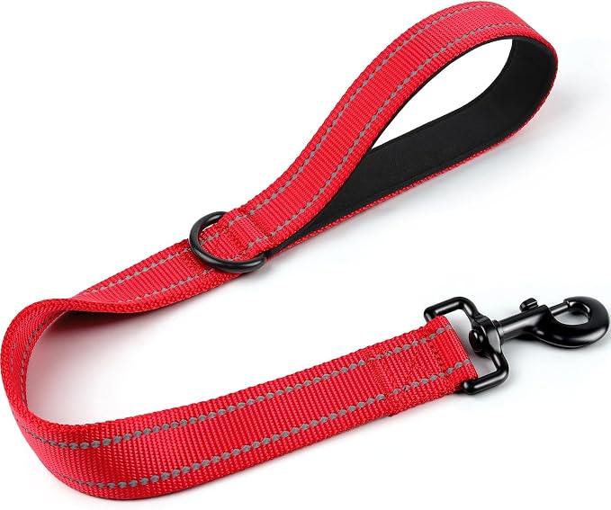 Joytale Short Dog Leash for Close Control & Training, 24", Red | Padded Comfort Handle, Reinforced Nylon Webbing, Secure Metal Clip, for Busy Streets & Heel Training