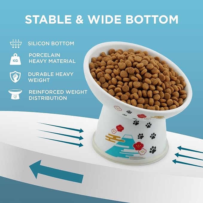 Necoichi Raised Cat Food Bowl – Ceramic Elevated 15° Tilted Cat Bowl for Whisker & Neck Fatigue, Dishwasher Microwave Safe – Non-Slip & Anti Vomiting Ergonomic Design (Fuji, Regular Tilted)