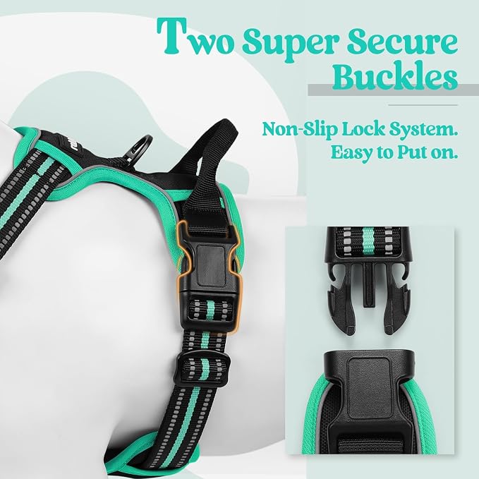 rabbitgoo Dog Harness, No Pull for Small Dogs with 2 Leash Clips, Pet Vest | No Choke with Handle, Adjustable Soft Padded, Reflective, Easy Control for Walking, Black & Turquoise, Small