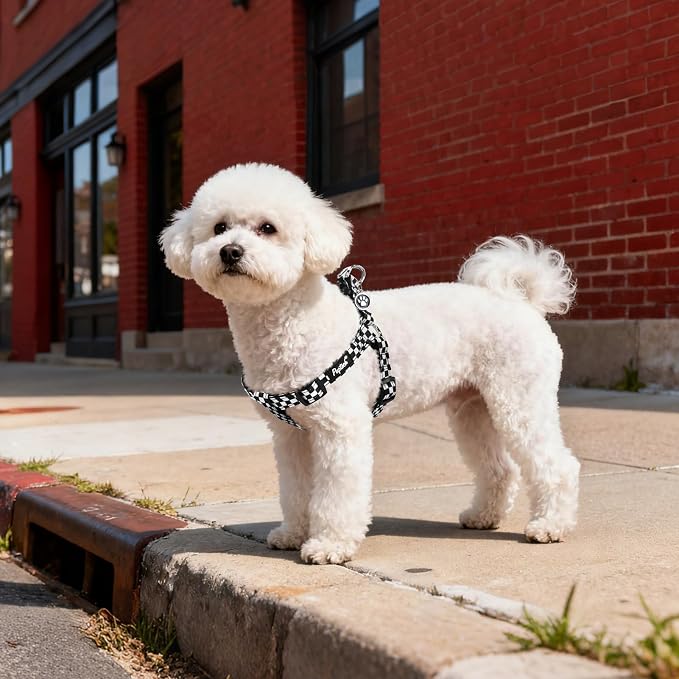 PUPTECK No Pull Dog Harness Medium Sized Step-in Adjustable Puppy Vest | Soft Webbing Basic Halter with ID Tag for Outdoor Walking