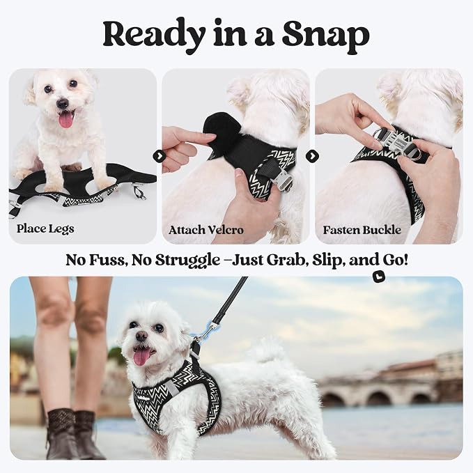 rabbitgoo Dog Harness Small Sized and Leash Set, Step-in Puppy Pet Vest | Light, Soft, Breathable Air Mesh, Easy on and Remove with Hook & Loop, Secure Reflective for Walking, Black Zigzag M