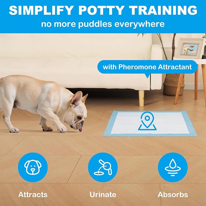 Disposable Puppy Pads, 100 Count 23.6x23.6 in, 6 Layer Pee Pads for Dogs,Super Absorbent Diaper Changing Pad, Dog Potty Training Supplies,Quick Dry Pet Housebreaking Essentials for Puppies