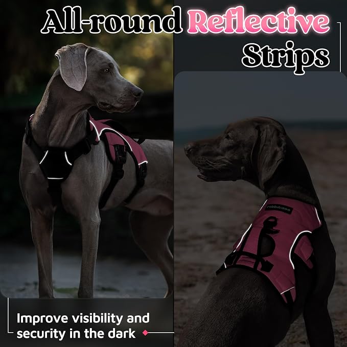 rabbitgoo Escape Proof Dog Harness for X-Large, No Pull with Lift Handle | No Escape, Full Soft Padded, Reflective Adjustable Vest, Leash Clip for Walking Hiking Training, Pink, X-Large