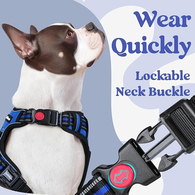rabbitgoo Dog Harness for Large, Updated Easy On & Off with 3 Buckles | No Pull No Choke, Walking with 2 Clips and Handle, Adjustable Soft Reflective, Blue, X-large