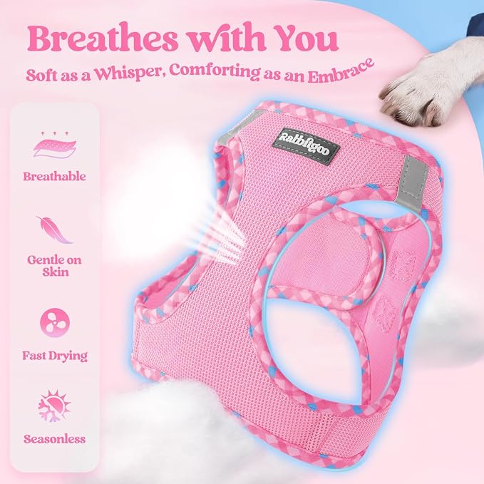 rabbitgoo Dog Harness Small Sized and Leash Set, Step-in Puppy Pet Vest | Light, Soft, Breathable Air Mesh, Easy on and Remove with Hook & Loop, Secure Reflective for Walking, Pink & Plaid Trim XXS