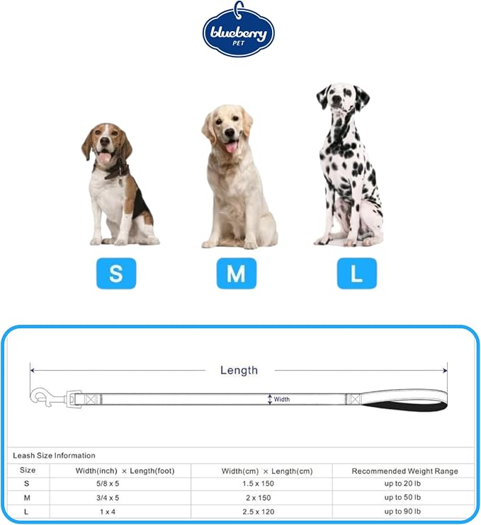 Blueberry Pet Essentials Spring Scent Inspired Garden Floral Dog Leash in Baby Pink, 5 ft x 3/4", Medium, Leashes for Dogs