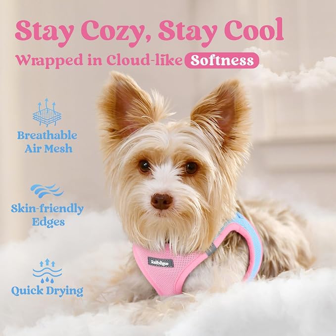rabbitgoo Step-in Small Dog Harness, Puppy Vest for Small Sized Pet | Easy Put on and off, Lightweight, Soft, Breathable Quick-Dry Air Mesh for Comfortable Secure Walking, Blue & Light Pink XS