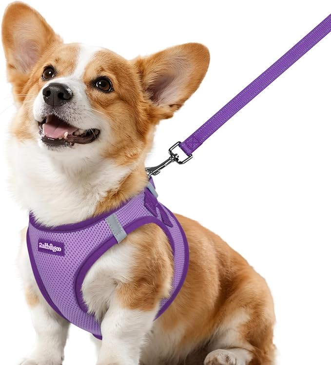 rabbitgoo Dog Harness Small Sized and Leash Set, Step in Soft Vest | Breathable Mesh, Easy Wear with Hook & Loop, Light and Reflective for Walking, Multi-colored, Light Purple & Purple, L