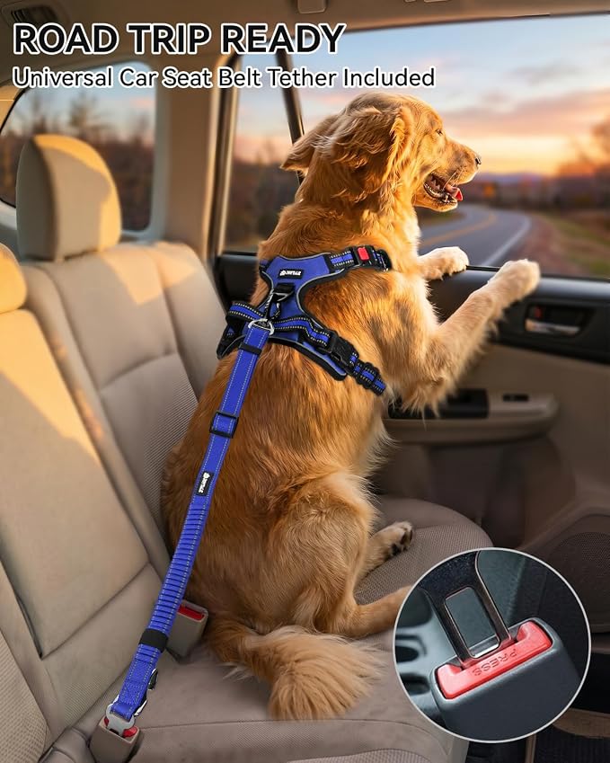 Joytale No Pull Dog Harness & Seat Belt, Easy On 3-Buckle, S, Navy Blue | Front Clip Reduces Pulling, Escape-Resistant Design, Adjustable Fit, Soft Padding for Comfort, Secure Tether for Safer Travel