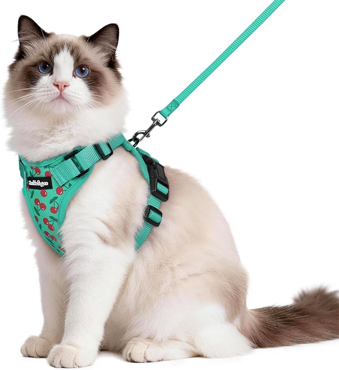 rabbitgoo Cat Harness and Leash Set, Escape Proof Vest, Cherry Grove | Soft Breathable Mesh, Easy Adjustable Fit, Snap Buckles, Sturdy Clip, Reflective Strips, for Medium to Large Cats Walks, M