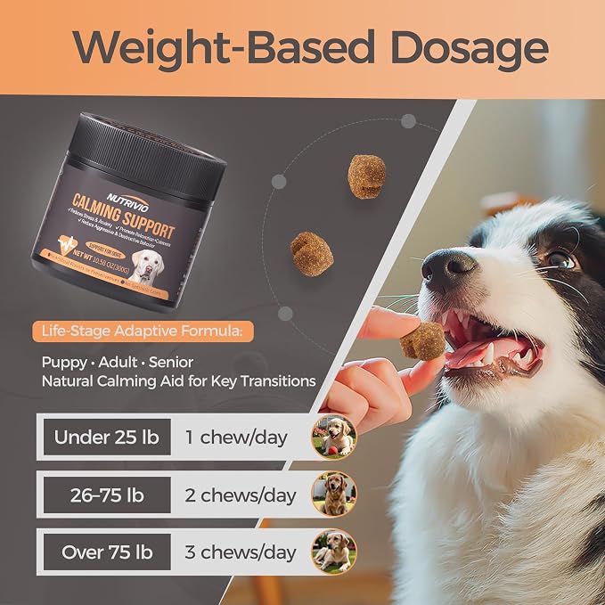Melatonin Calming Chews for Dogs, Chicken, 300g