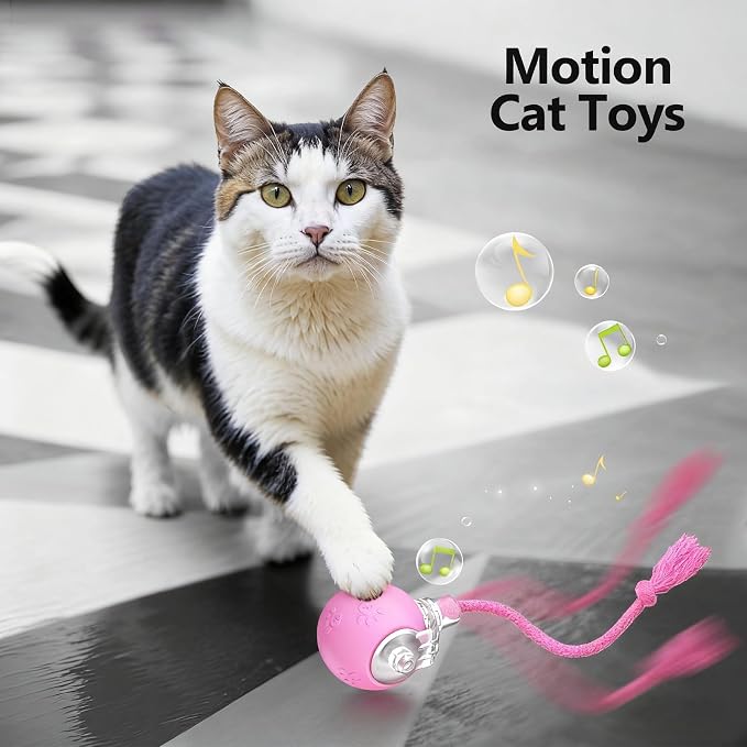 Speed 2.0 Tail Interactive Cat Toys, Rechargeable Ball for Indoor Cats | Motion-Activated Rolling Ball with Chirping Sounds, Cat Toys Interactive for Kittens and Adult Cats, Enrichment and Exercise