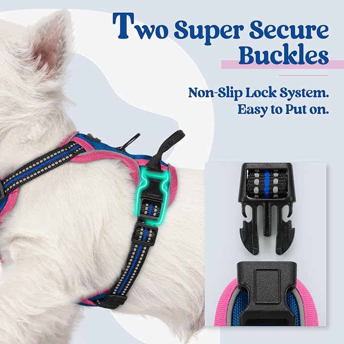 rabbitgoo Dog Harness, No Pull for Small Dogs with 2 Leash Clips, Pet Vest | No Choke with Handle, Adjustable Soft Padded, Reflective, Easy Control for Walking, Blue & Hot Pink, X-Small