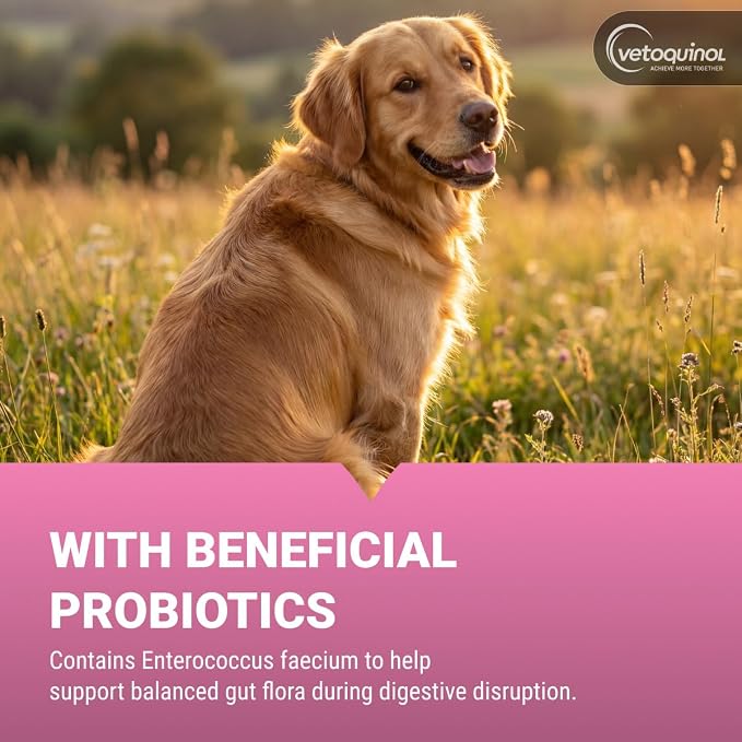 Vetoquinol Pro-Pectalin - Supports Digestive System & Stool Firmness for Dogs & Cats - Chewable Probiotic Supplement for Intestinal Support - For All Breeds - 250 Count