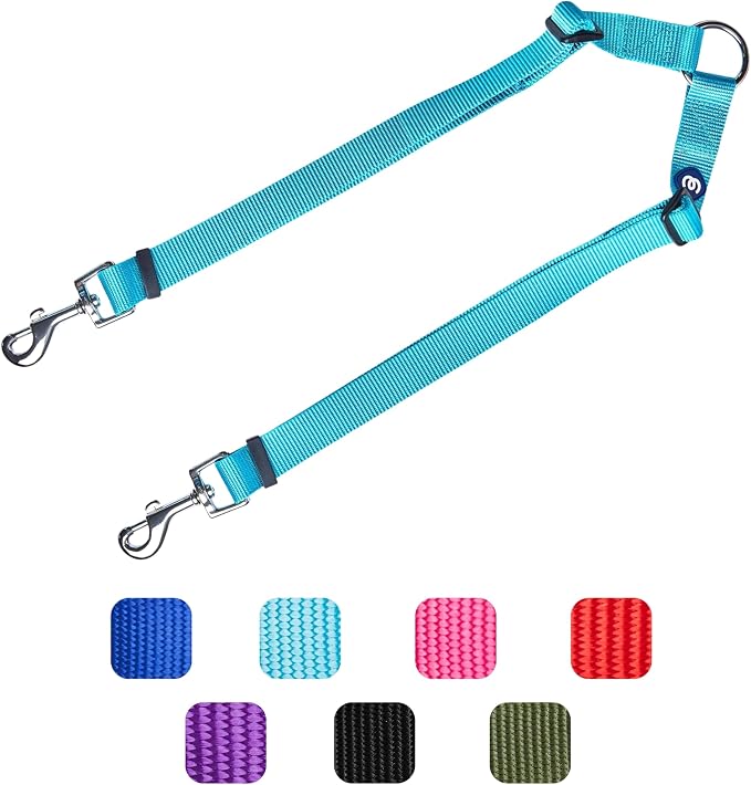 Blueberry Pet Essentials Durable Classic Double Dog Leash Coupler, Turquoise, Medium/Large, Dual Walking & Training Leashes for Two Dogs