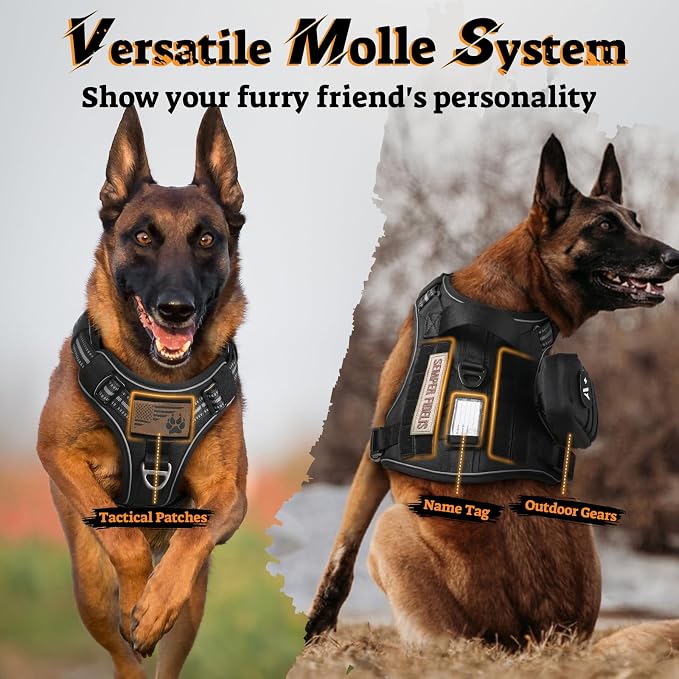 rabbitgoo Tactical Dog Harness Medium Sized, No Pull Service Pet Vest | Military Molle System & Easy Control Handle, Adjustable and Reflective for Walking and Training, Black, Medium