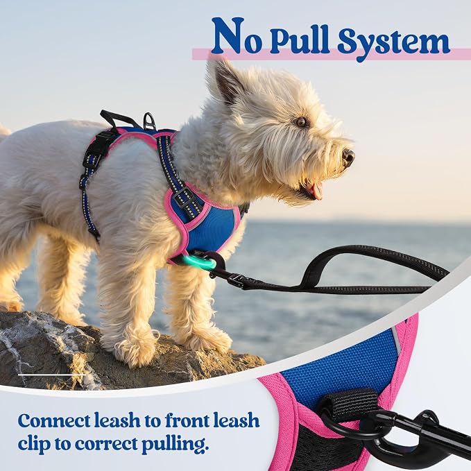 rabbitgoo Dog Harness, No Pull for Small Dogs with 2 Leash Clips, Pet Vest | No Choke with Handle, Adjustable Soft Padded, Reflective, Easy Control for Walking, Blue & Hot Pink, X-Small