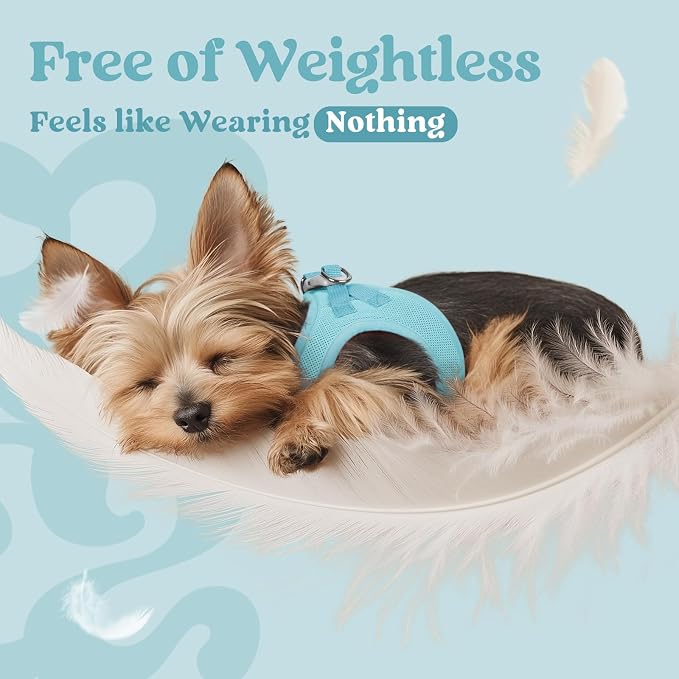 rabbitgoo Step-in Small Dog Harness, Puppy Vest for Small Medium Sized Pet | Easy Put on and off, Lightweight, Soft, Breathable Quick-Dry Air Mesh for Comfortable Secure Walking, Mint Blue L