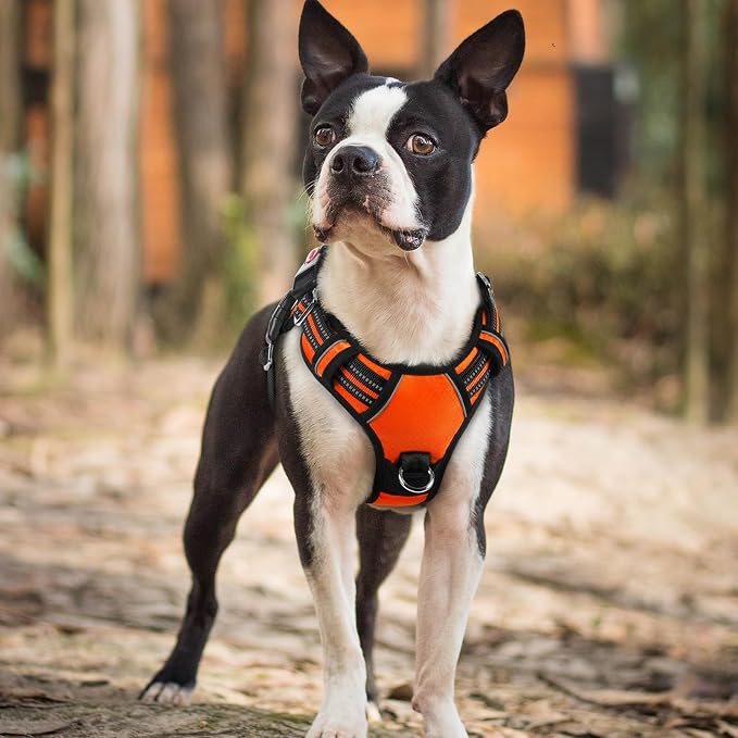 rabbitgoo Dog Harness Small Sized, No Pull 3 Buckles Easy On & Off | Soft Padded, Walking with Control Handle, Adjustable and Reflective, Orange, Small