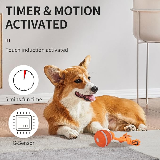 Interactive Dog Toys Dog Ball,Automatic Rolling and Bouncing Moving Dog Toy | 2PCS Squeaky Rolling Balls with Flashing Light,USB Rechargeable Chew Toys for Puppy Small Dogs, Pet Ball to Keep Them Busy