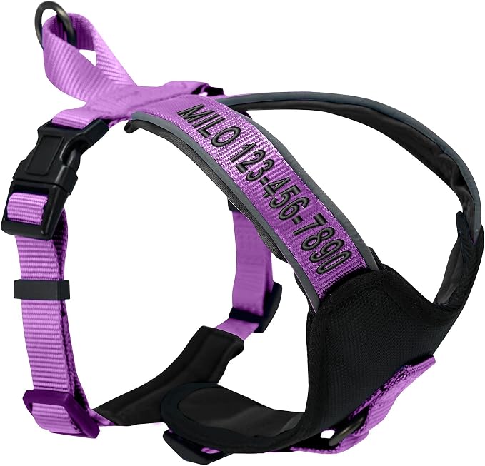 Pawtitas Reflective Padded Dog Harness for X-Small Dogs – Adjustable Puppy Step-in Vest | Fits Chest 14–18 in | No Pull Training Harness | XS | Orchid