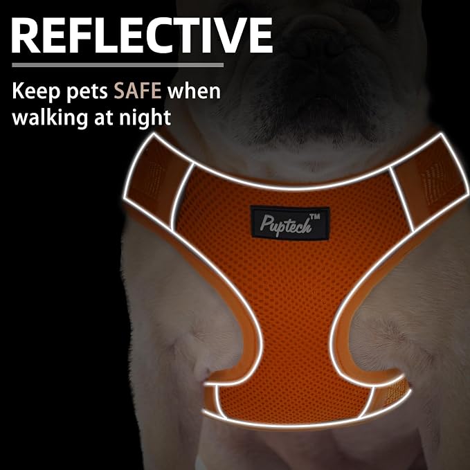 PUPTECK Small Dog Harness and Leash Set, No Pull Adjustable Puppy Cat Harness, Reflective Soft Mesh Pet Vest Small Sized, Orange, M