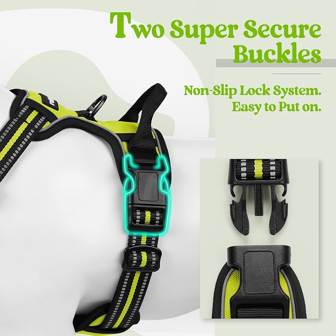 rabbitgoo Dog Harness, No Pull Medium Sized with 2 Leash Clips, Pet Vest | No Choke with Handle, Adjustable Soft Padded, Reflective, Easy Control for Walking, Wild Lime, Medium