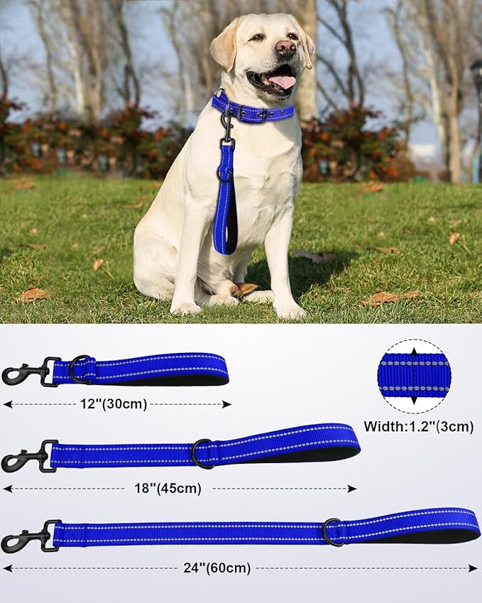 Joytale Short Dog Leash for Close Control & Training, 18", Royal Blue | Padded Comfort Handle, Reinforced Nylon Webbing, Secure Metal Clip, for Busy Streets & Heel Training